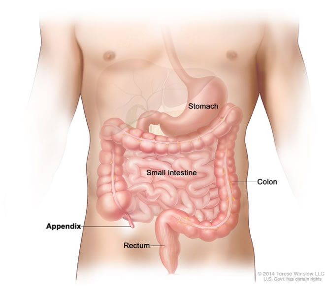 Appendix